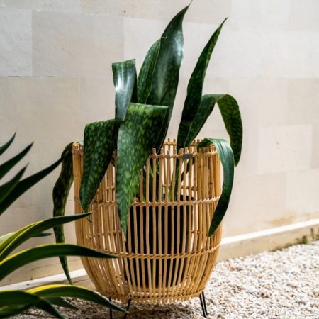 Donica rattanowa Lilly S